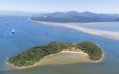 I Semana do Oceano REBIMAR do litoral paranaense pretende aproximar sociedade do maior produtor mundial de oxigênio