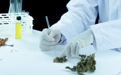 Caso de doença na família motiva Biólogo a estudar o uso medicinal da Cannabis