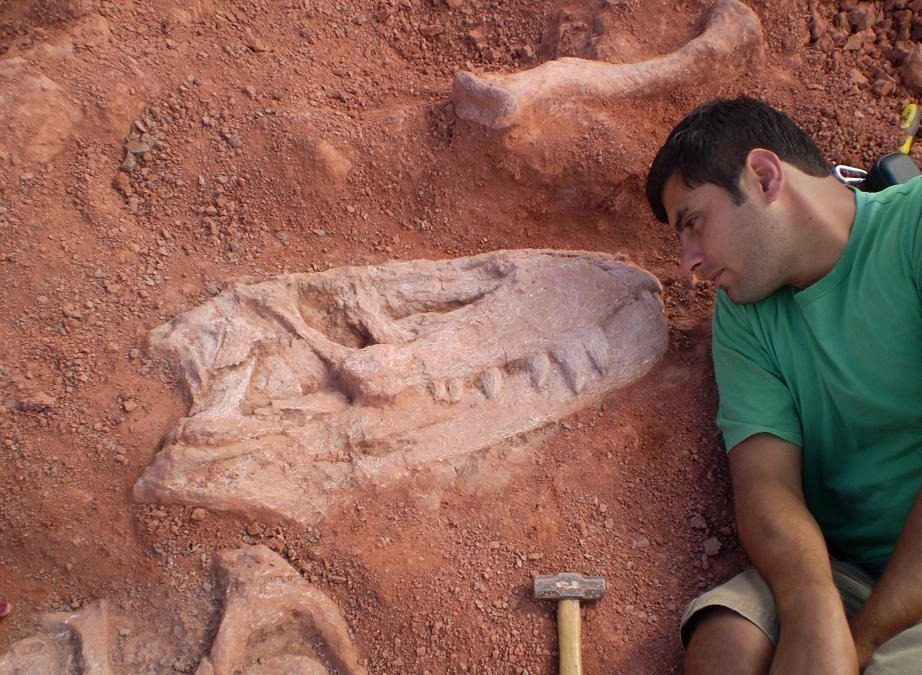 Paleontologia: uma área de atuação do Biólogo