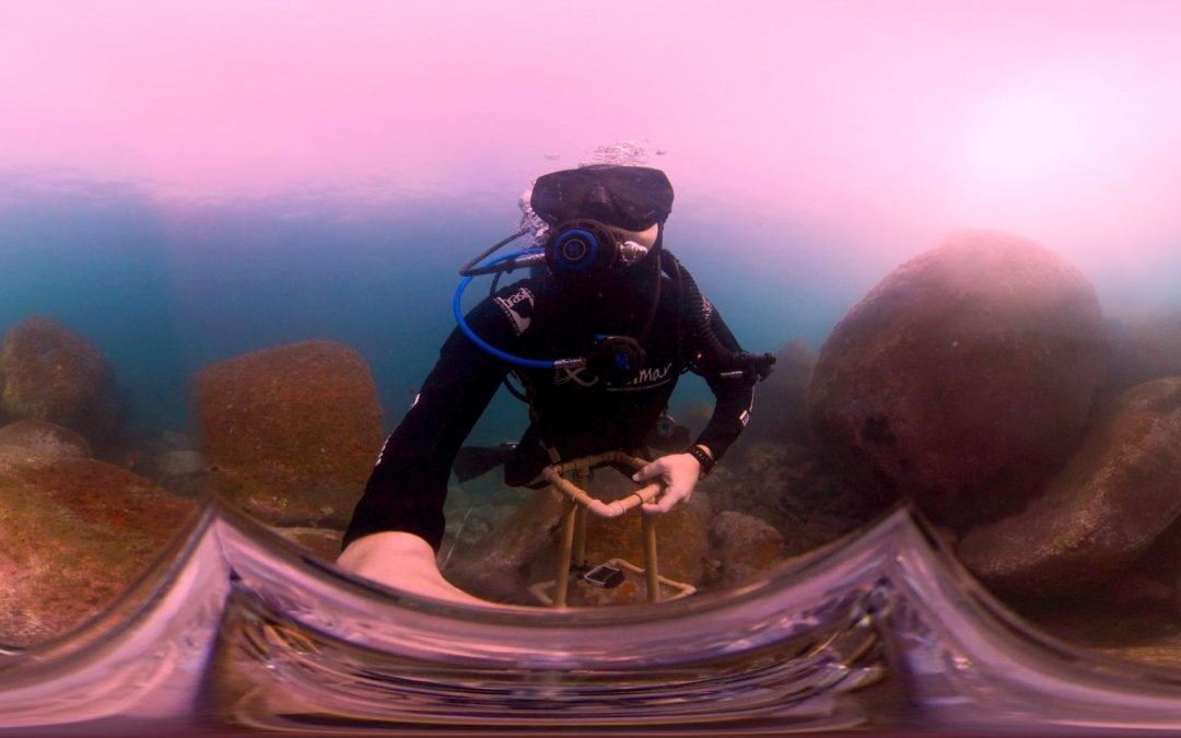 Câmera 360º exibe fundo do mar do litoral paranaense