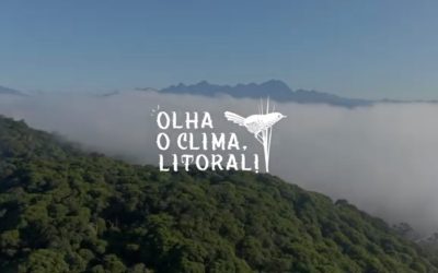Websérie mostra ações para manutenção da biodiversidade e resiliência à mudança climática no litoral do Paraná