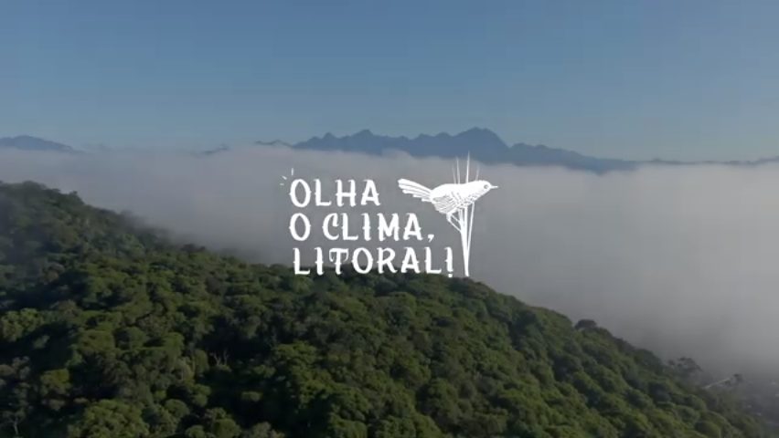 Websérie mostra ações para manutenção da biodiversidade e resiliência à mudança climática no litoral do Paraná