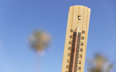 Planeta bate recordes de calor, e Biólogos precisam saber do seu papel para a mitigação dos impactos das mudanças climáticas