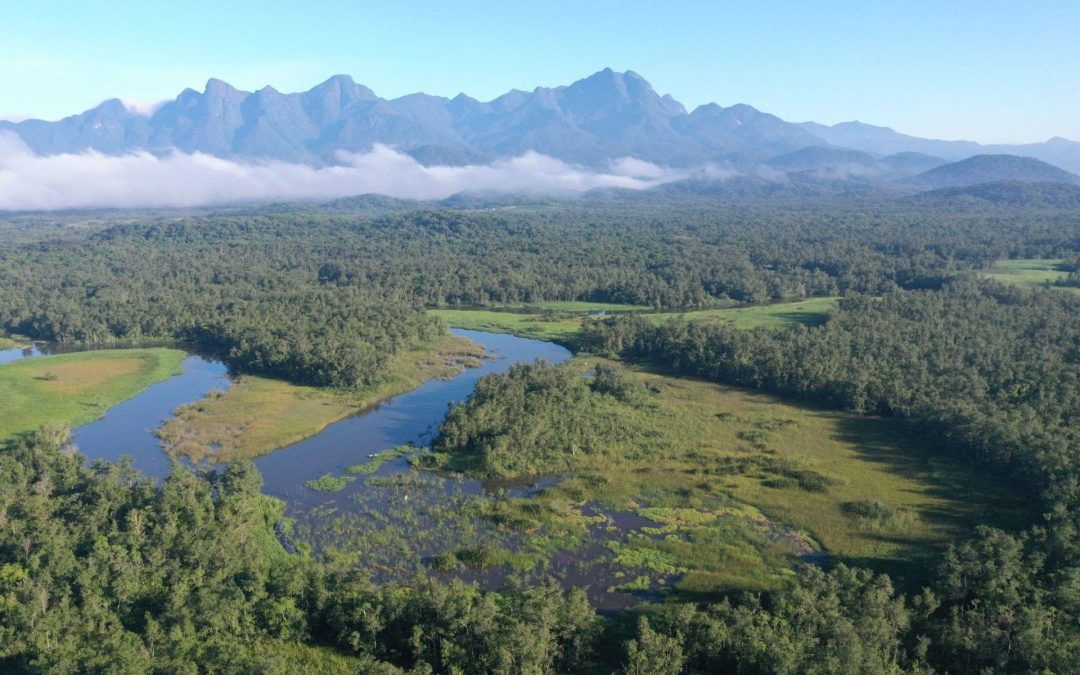 Projeto ultrapassa meta de restauração ecológica e contribui para resiliência climática e para economia no Litoral do Paraná