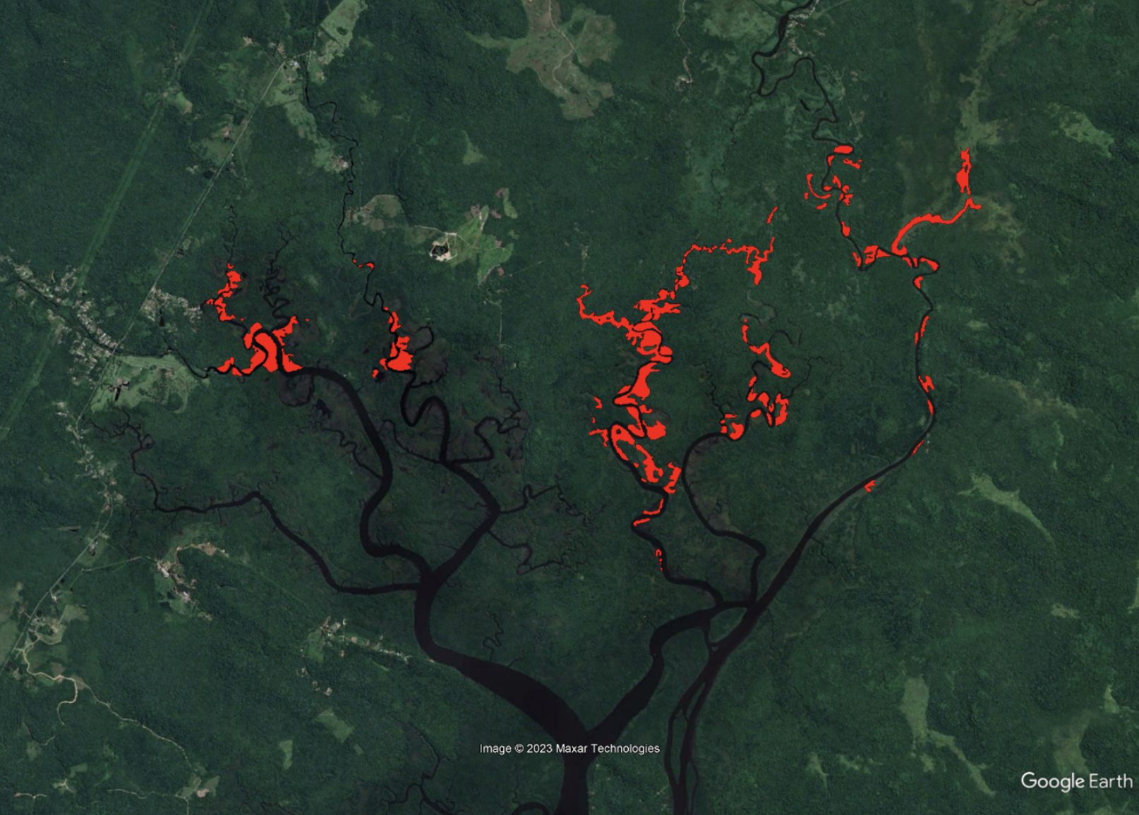 Mapa mostra 75 ha de áreas invadidas por braquiárias-d'água (em vermelho) na baía de Antonina/PR