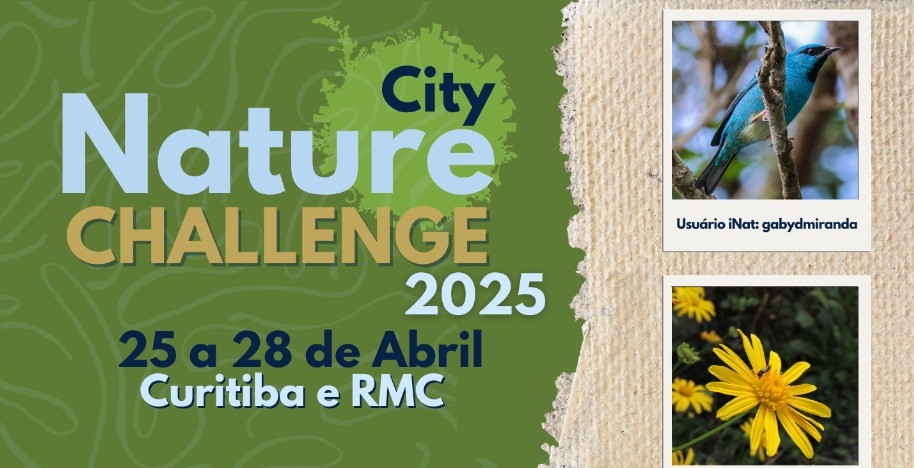 Desafio Mundial da Natureza Urbana 2025: participe e registre a biodiversidade da sua cidade