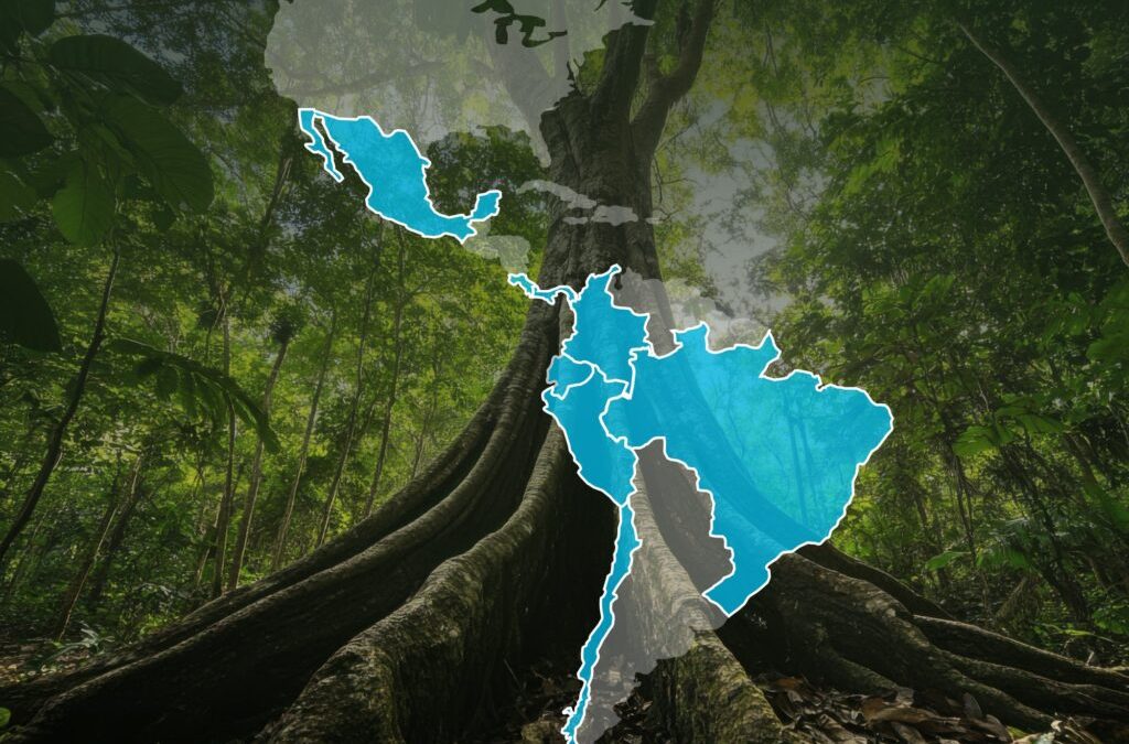 CFBio avança para integrar a RED LATBIOMA como sócio fundador