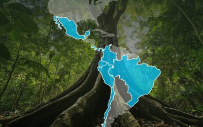 CFBio avança para integrar a RED LATBIOMA como sócio fundador