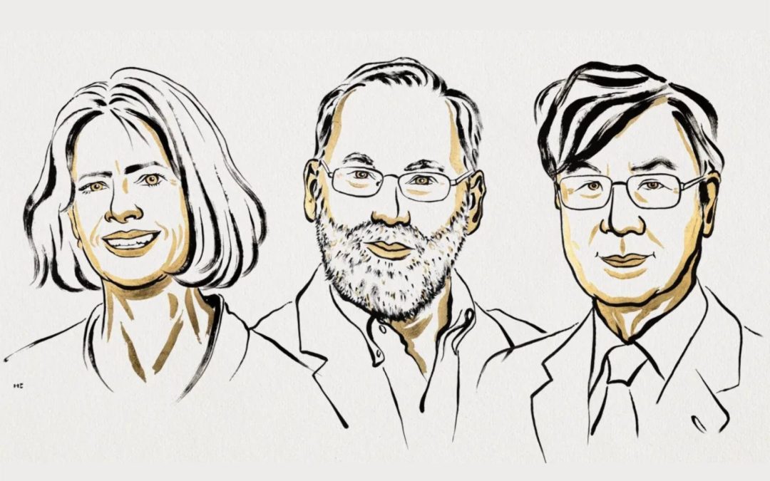 Pelo segundo ano consecutivo, Biólogos vencem o Prêmio Nobel de Medicina