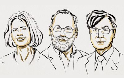 Pelo segundo ano consecutivo, Biólogos vencem o Prêmio Nobel de Medicina