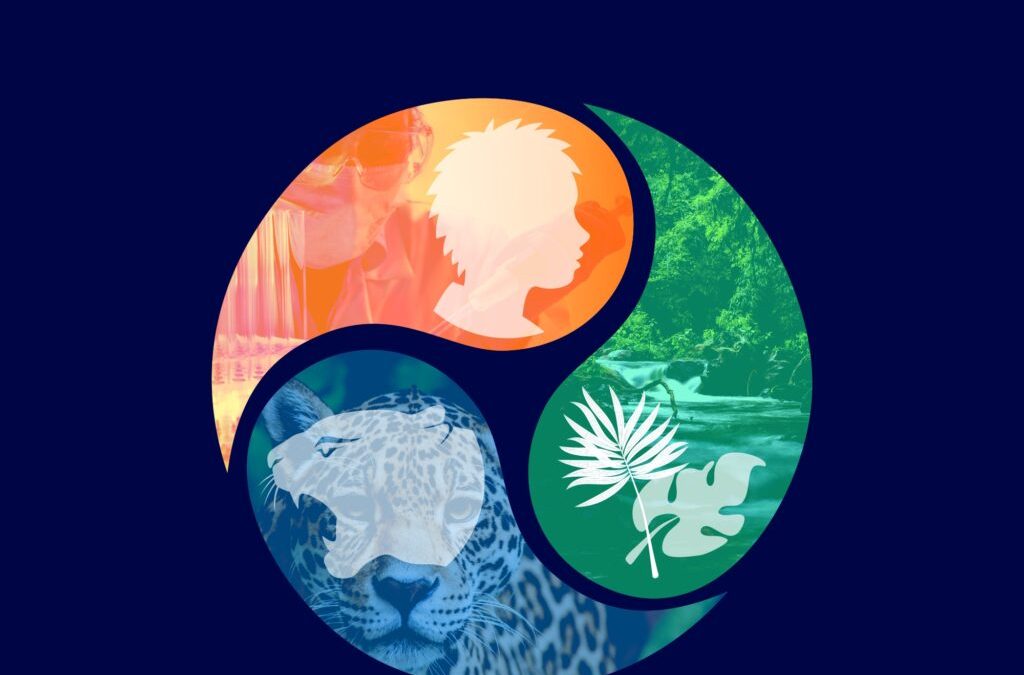 Dia Mundial e Nacional da “Uma Só Saúde” (Saúde Única)