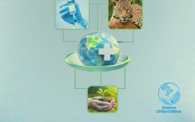 Dia Mundial da Saúde destaca a atuação dos Biólogos na promoção da vida