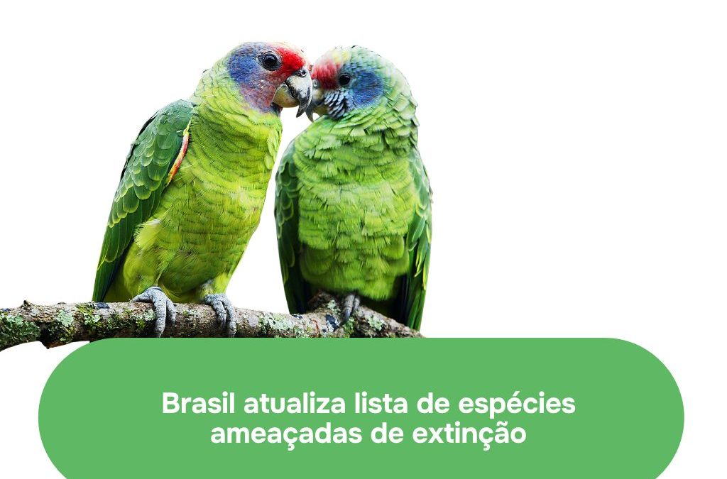 MMA atualiza lista nacional de espécies da fauna ameaçadas de extinção