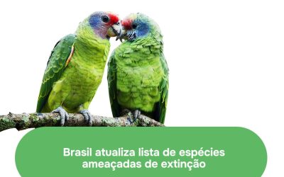 MMA atualiza lista nacional de espécies da fauna ameaçadas de extinção
